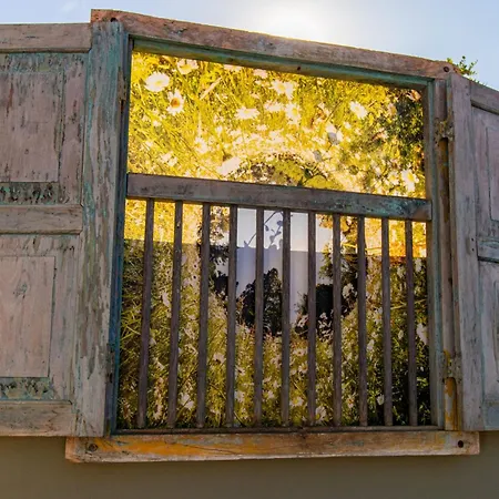 Appartement Farm Olive, Casa Bougainvillea